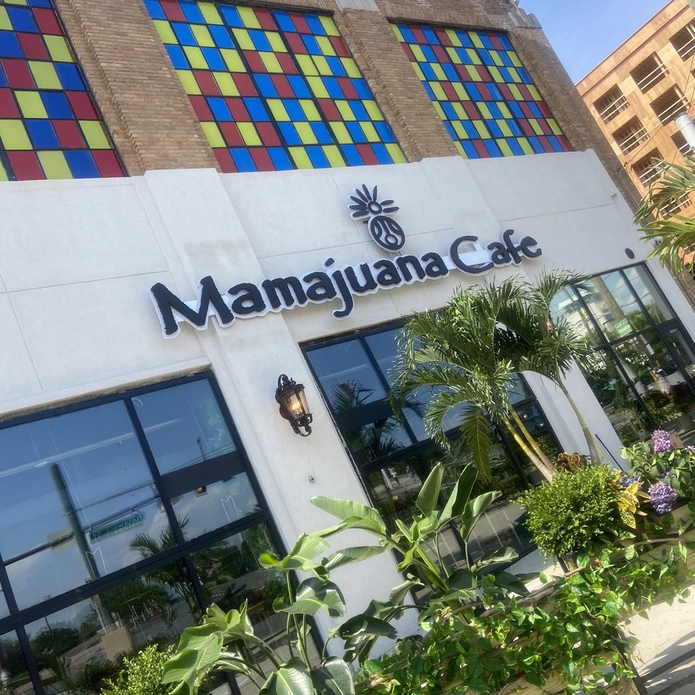 Mamajuana - Latin American Near Me - Philadelphia, Pennsylvania Mamajuana - Latin American Near Me - Philadelphia, Pennsylvania