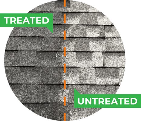 American Roof Rejuvenators