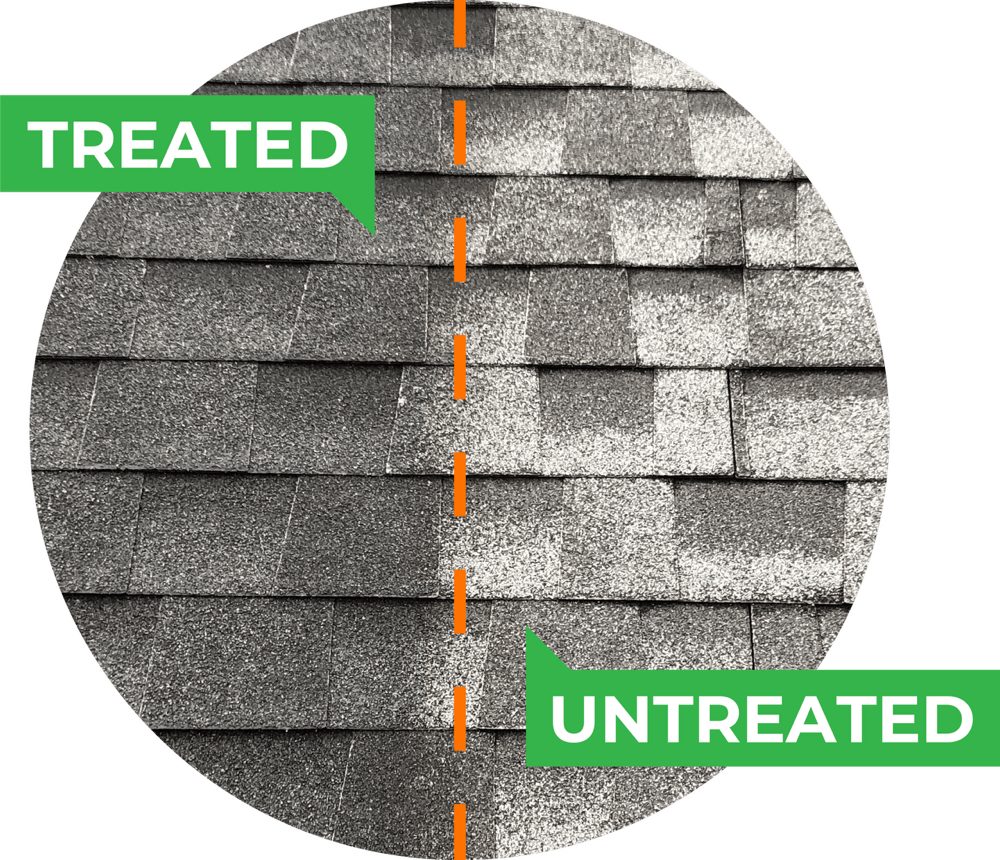 Slide of American Roof Rejuvenators