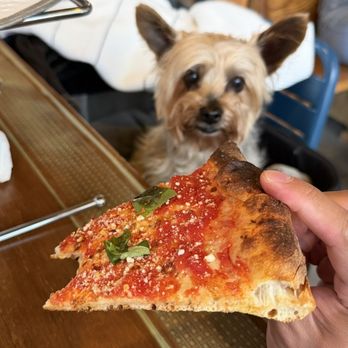 Wheated Pizza - Pizza Near Me - Louisville, Kentucky Wheated Pizza - Pizza Near Me - Louisville, Kentucky