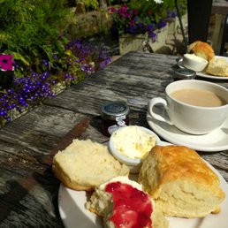 Cream Tea Cream Tea