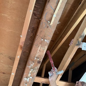 First Call Restoration - Team pointing out the area of leak. - Damage Restoration Near Me - Walnut Creek, California