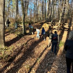 Bull Run-Occoquan Trail