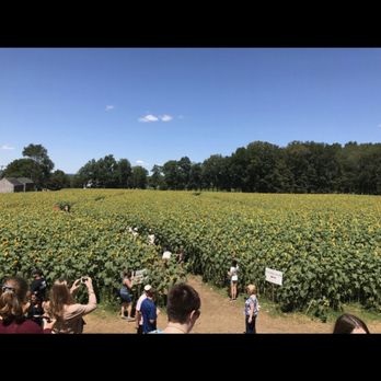 Buttonwood Farm Ice Cream - Ice Cream & Frozen Yogurt Near Me - Griswold, Connecticut
