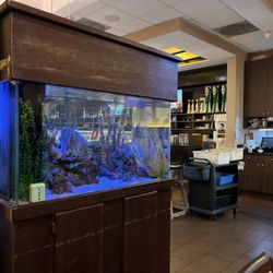 Bai Plu Thai & Sushi