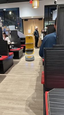 Kura Revolving Sushi Bar by null