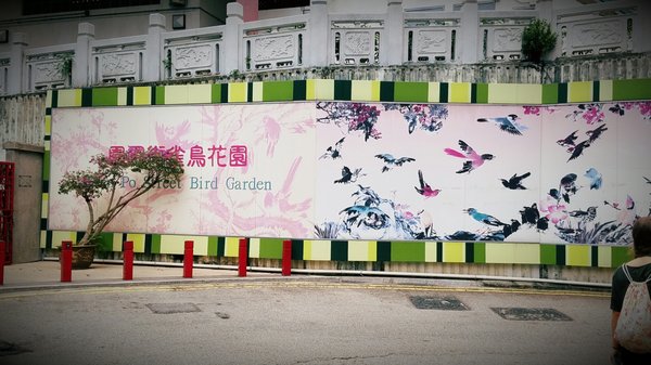 Yuen Po Street Bird Garden by null