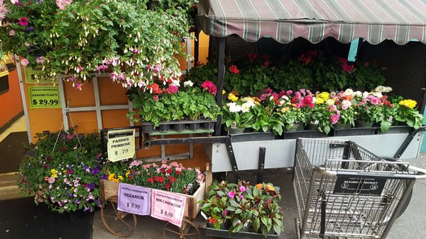 Beaumont Market by null