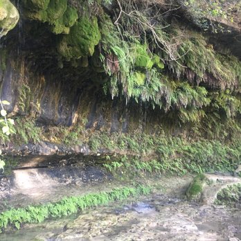 Bull Creek Greenbelt - Parks Near Me - Austin, Texas