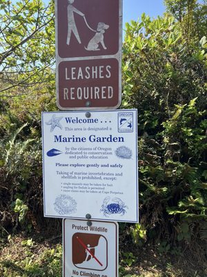 Samuel H. Boardman State Scenic Corridor by null