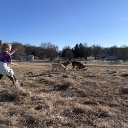 Sycamore Park - Dog Off-Leash Park