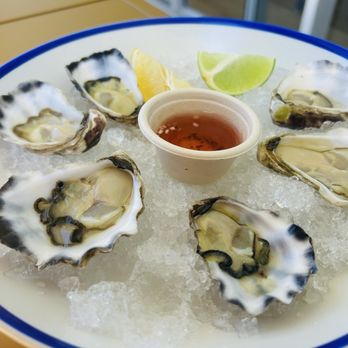Bondi Icebergs Club - Sydney rock oysters ($25 AUD) super fresh - Restaurants Near Me - Bondi, NSW Bondi Icebergs Club - Sydney rock oysters ($25 AUD) super fresh - Restaurants Near Me - Bondi, NSW