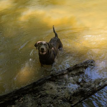 McDade Park - Creek - Parks Near Me - Conroe, Texas