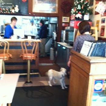 Katy's Place - Dog in the restaurant--woman holding the leash...That's the waitress. Owner of said dog? The Owner of Katy's. in the kitchen - Breakfast & Brunch Near Me - Carmel, California Katy's Place - Dog in the restaurant--woman holding the leash...That's the waitress. Owner of said dog? The Owner of Katy's. in the kitchen - Breakfast & Brunch Near Me - Carmel, California