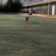 Photo of Schuylkill River Dog Run - Philadelphia, PA, United States