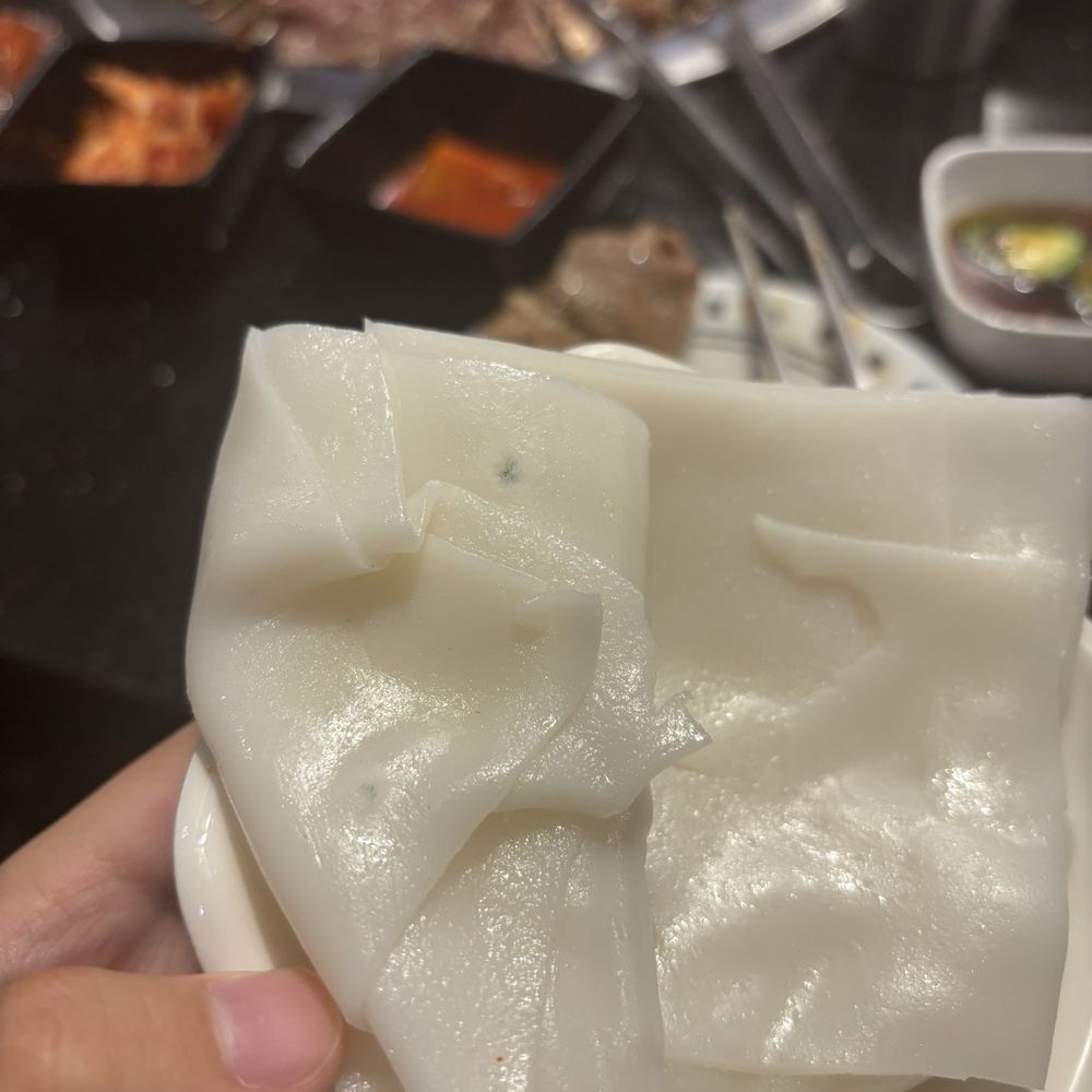 Jong Ga House - MOLD MOLD MOLD MOLD MOLD - Korean Near Me - Oakland, California Jong Ga House - MOLD MOLD MOLD MOLD MOLD - Korean Near Me - Oakland, California