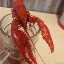 Bon Temps Boulet's Seafood - Size of most of the crawfish