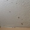Holiday Motel gift card