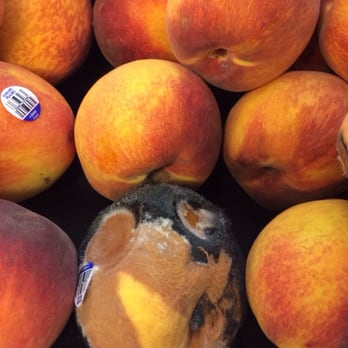 Publix - Super rotten fruit for sale with bugs flying around it to make it more delicious. - Drugstores Near Me - North Miami, Florida