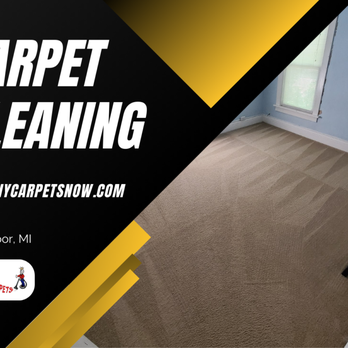 Healthy Carpets - Carpet Cleaning - Carpet Cleaning Near Me - Saline, Michigan