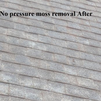 Adequate Solutions - No pressure moss removal after - Home Cleaning Near Me - Burnaby, British Columbia Adequate Solutions - No pressure moss removal after - Home Cleaning Near Me - Burnaby, British Columbia