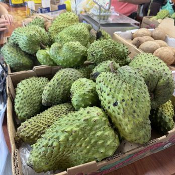 Robert Is Here - Fruits & Veggies Near Me - Homestead, Florida Robert Is Here - Fruits & Veggies Near Me - Homestead, Florida