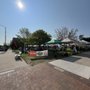 Photo of Sara Hardy Farmers Market
