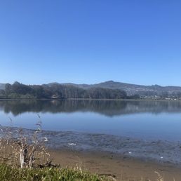 Low tide