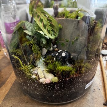 Roosevelt's Terrariums - 6 varieties of plants in this 2 gallon glass closure jar, plus a couple figures at only $2 extra - Nurseries & Gardening Near Me - Portland, Oregon Roosevelt's Terrariums - 6 varieties of plants in this 2 gallon glass closure jar, plus a couple figures at only $2 extra - Nurseries & Gardening Near Me - Portland, Oregon