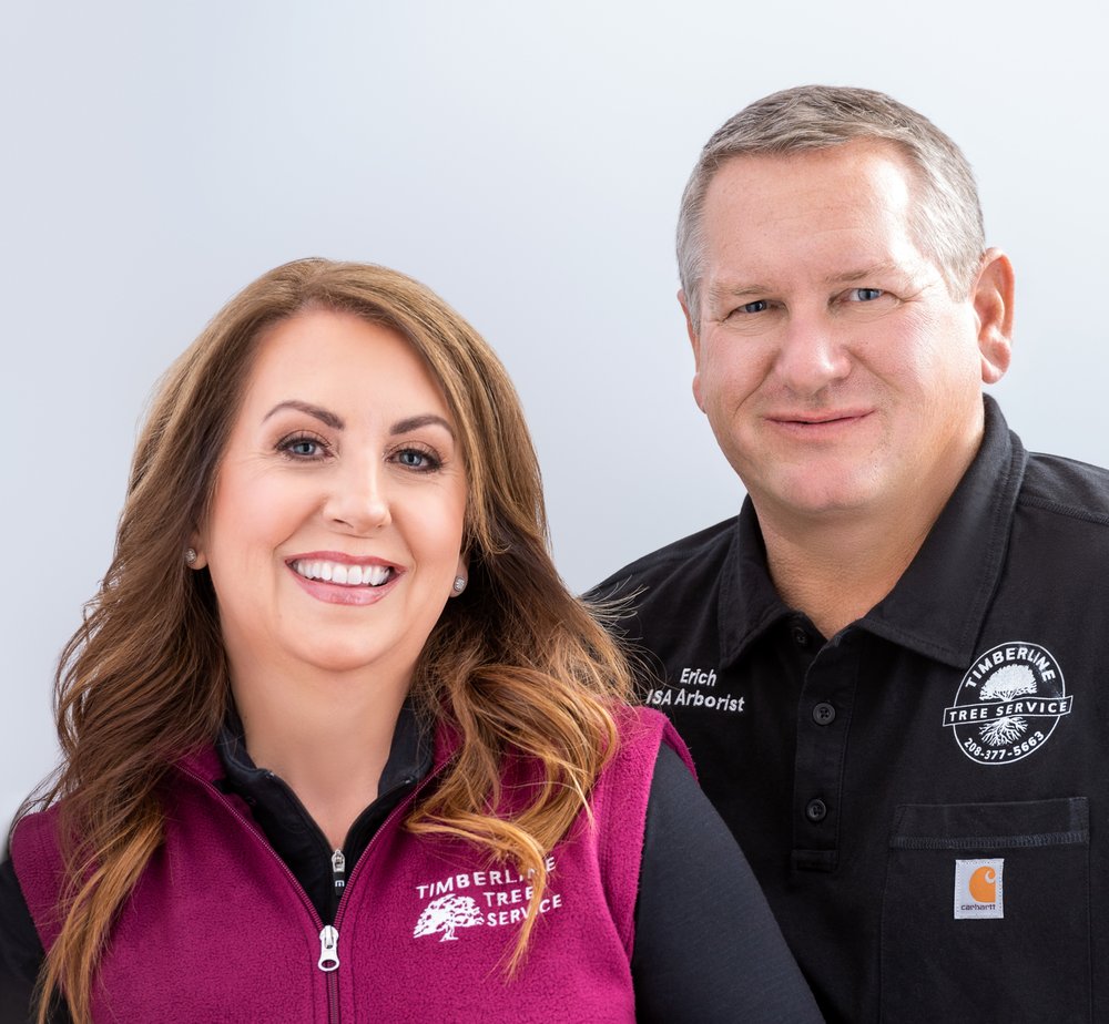 Timberline Tree Service - tree service in Boise, ID
