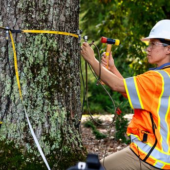 Bartlett Tree Experts - Imperial - Tree Services Near Me Bartlett Tree Experts - Imperial - Tree Services Near Me