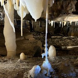Ohio Caverns - Llama!!! So cute!
