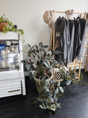 The Nitro Bar by null