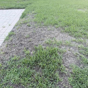 Turner Pest Control - Pest Control Near Me - Sarasota, Florida Turner Pest Control - Pest Control Near Me - Sarasota, Florida