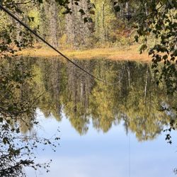 Denali Zipline Tours - Zip over a lake