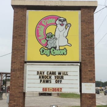 blue buffalo lamb puppy food