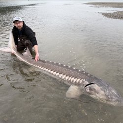 Cold Water Guiding