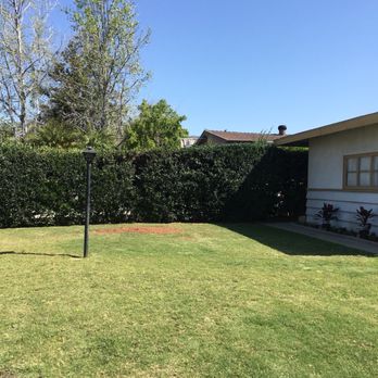 Alberts Tree Service - Tree Services Near Me - Azusa, California Alberts Tree Service - Tree Services Near Me - Azusa, California