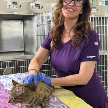Western Animal Hospital - Christiaan, one of our assistants - Veterinarians Near Me - Glendale, Arizona Western Animal Hospital - Christiaan, one of our assistants - Veterinarians Near Me - Glendale, Arizona