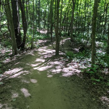DTE Energy Foundation Trail - Hiking Near Me - Chelsea, Michigan DTE Energy Foundation Trail - Hiking Near Me - Chelsea, Michigan