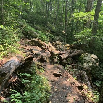 Deer Leap Overlook Trail - Hiking Near Me - Killington, Vermont
