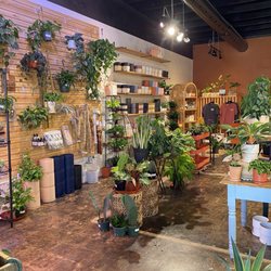 Urban Roots BTX