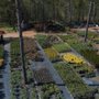 Andrew's Farm & Nursery