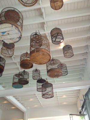 White Rabbit Gallery by null