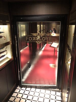 Foxglove by null