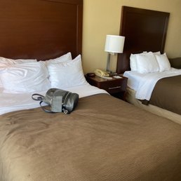 The beds The beds