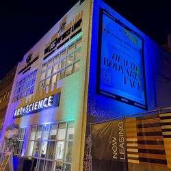 Art + Science - Grand Opening of Optimal Wellness and Beauty & The Doc of West Loop. Chiropractic/integrated medicine