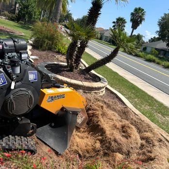 The Daily Grind - The Daily Grind - Tree Services Near Me - Spring Hill, Florida The Daily Grind - The Daily Grind - Tree Services Near Me - Spring Hill, Florida
