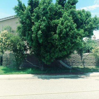 MTS Landscape - Landscaping Near Me - Moreno Valley, California MTS Landscape - Landscaping Near Me - Moreno Valley, California