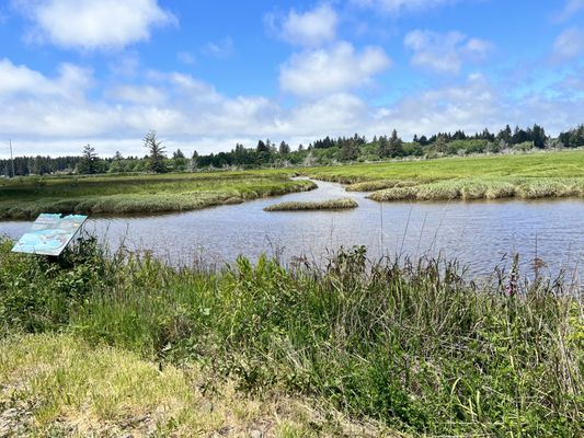 Willapa National Wildlife Refuge by null